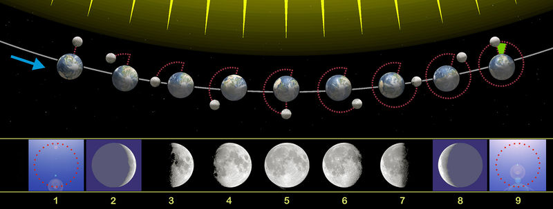 Phases de la Lune